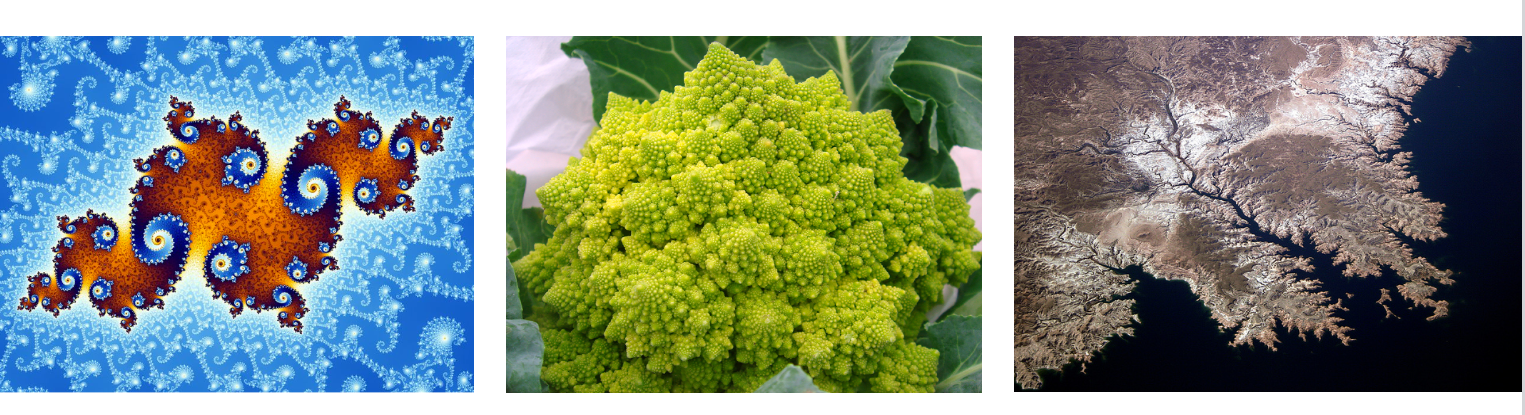 image-20231209125952472