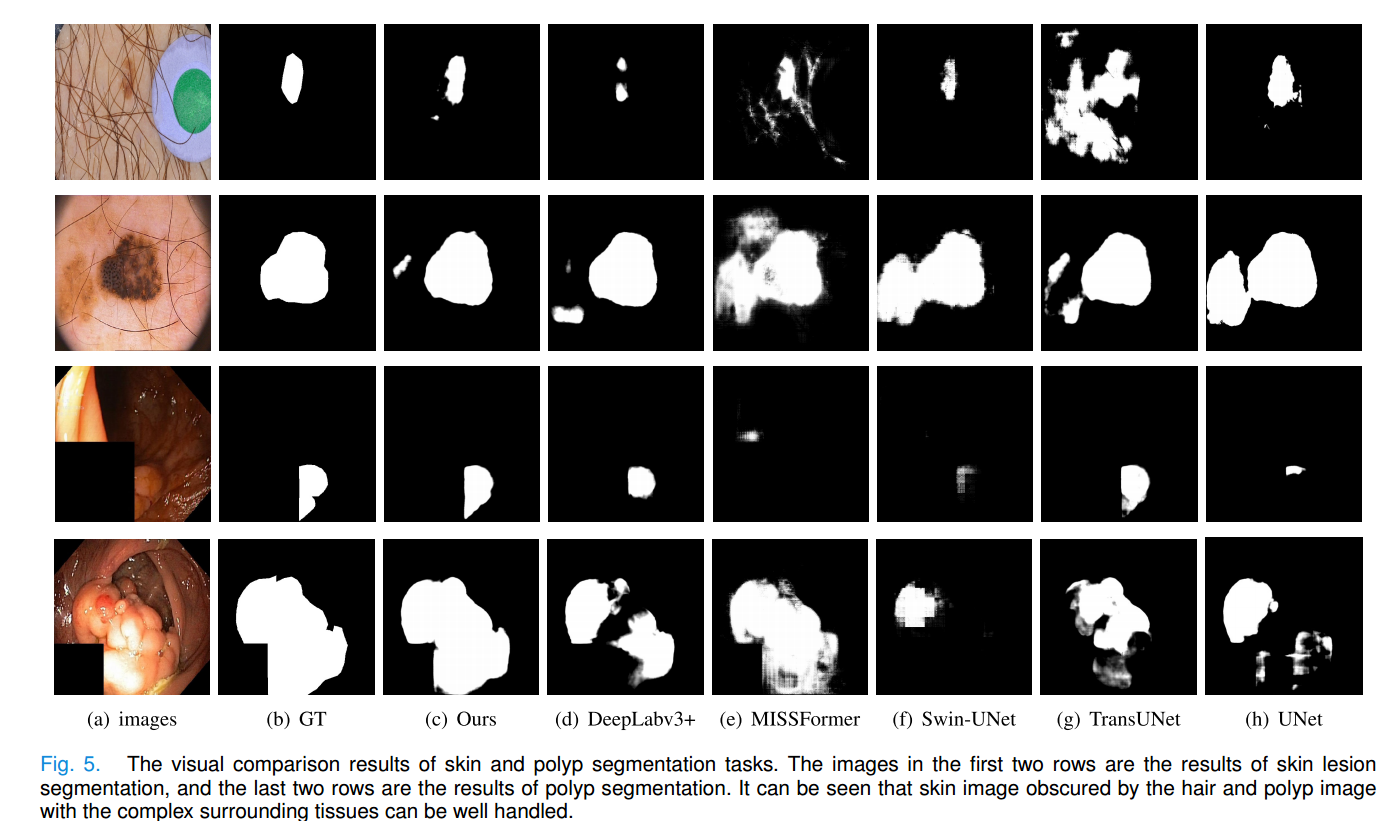 image-20240306162509652